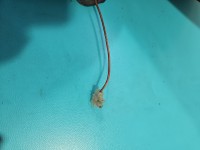 Lampa tył lewa Suzuki, Przerabiany przewód 07-10 Suzuki Swift Mk6 HB