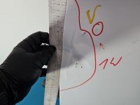 DRZWI PRZÓD LEWE KIEROWCY Skoda Rapid 5d biały LF9E-9P9P