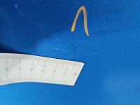 Drzwi tył lewe Hyundai I30 II 12-16 HB 5d niebieski R3U