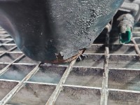 Skrzynia biegów JR5318 Nissan Qashqai I J10 06-13 1.6 16V