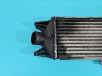 Intercooler Iveco Daily IV 06-14 3.0 HPI