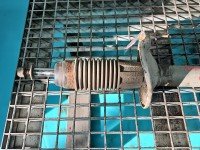 Amortyzator przód prawy przedni Peugeot 305