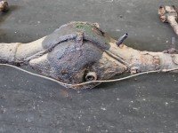 Most tylny DYFER tył Suzuki Vitara I 1.6 16V