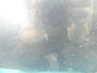 Błotnik przód lewy Renault Vel satis grafitowy