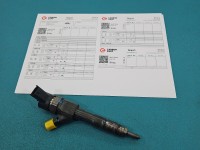 Wtryskiwacz Renault Scenic I 0445110146, 8200238528 1.9 dci