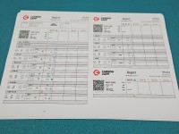 TESTOWANY Wtryskiwacz 0445110800, H8201636333 Renault Megane IV 1.5 dci 116KM