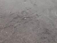 Wygłuszenie maski PODBITKA Citroen C4 Cactus 14-20