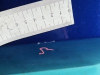 DRZWI PRZÓD LEWE KIEROWCY Mitsubishi Colt Z30 VI 04- 5d niebieski