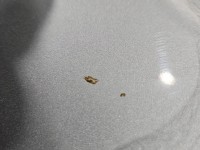 Spoiler lotka klapy Fiat Tipo II 15- 612/A