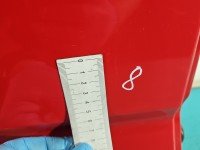 Drzwi tył prawe FORD C-MAX II MK2 HB 5d czerwony CA