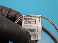 Instalacja Wiązka drzwi tył lewych BMW X6 E71 9243557