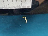 Klapa tył Kia Rio IV 16-23 HB 5d czarny ABP Klapa tył Kia Rio IV 16-23 HB 5d czarny ABP