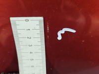 DRZWI PRZÓD LEWE KIEROWCY Skoda Fabia I 5d bordowy 9770 LF3T