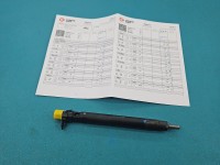 Wtryskiwacz FORD C-MAX II MK2 9686191080 2.0 TDCI (DW10C)