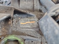 Skrzynia biegów Vw Bora 1.6 SR