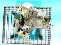 Skrzynia biegów Land rover Freelander I 2.0 td