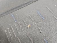 Fotel lewy przód kierowcy Citroen Berlingo II EU 5d CITROEN, Europejska, przetarta tapicerka