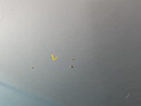 Klapa tył hyundai H1 II HB 5d kD