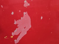 Maska przednia Audi A4 B7 czerwony LY3J