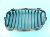 Atrapa grill BMW F20