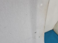 Podsufitka Citroen C3 III 16-24 HB 98118574BJ