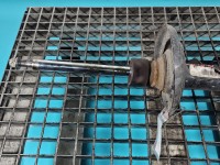 Amortyzator przód lewy przedni Alfa romeo Giulietta