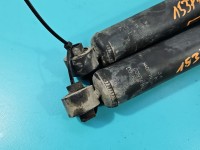 Amortyzator tył komplet tylny lewy prawy Dodge Caravan V 07-20 L+P