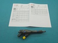 Wtryskiwacz Peugeot Partner I 0445110008 2.0 hdi