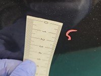 DRZWI PRZÓD PRAWE PASAŻERA Opel Antara 5d czarny GAR