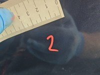 DRZWI PRZÓD PRAWE PASAŻERA Peugeot 308 I 5d granatowy KHH