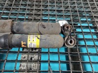 Amortyzator tył komplet tylny lewy prawy LEXUS NX I 14-21 L+P