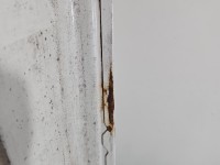 Drzwi tył prawe Fiat Ducato III 06-14 boxer jumper HB 5d biały