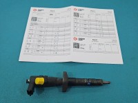 Wtryskiwacz Renault Master II 0445110265 2.5 dci