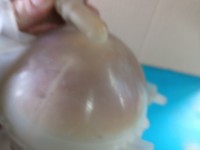 Zbiorniczek Zbiornik wyrównawczy Peugeot 3008 I 2.0 hdi