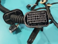 Instalacja Wiązka drzwi przód prawych Renault Megane IV 241251594R