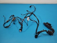 Instalacja Wiązka drzwi przód lewych BMW X6 E71 9242070, 9203113