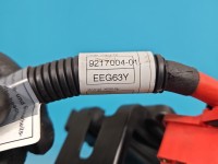 KLEMA INSTALACJA WIĄZKA PLUSOWA PLUS BMW X6 E71 9217003, 10688710