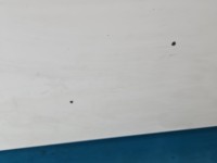 Maska przednia Renault Master II biały