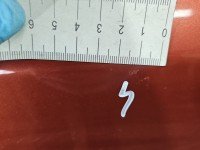 DRZWI PRZÓD PRAWE PASAŻERA Nissan Note E11 5d R10 G