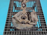 Zwrotnica lewa piasta przód 2.5 16V 2AR LEXUS NX I 14-21