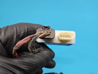 Czujnik otwierania klapy Vw Tiguan II 16- 5NA962283, 3G0962243C