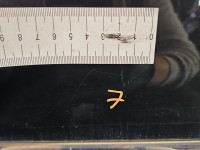 Drzwi tył lewe Peugeot 407 sedan 4d czarny, EXLD