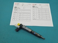 Wtryskiwacz Renault Laguna III 0445115007 2.0 dci