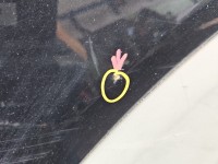 Błotnik przód prawy Chevrolet Captiva czarny GAR