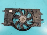 Wentylatory Wentylator chłodnicy Renault Laguna III 0130307096, 3135103780 2.0 16V (M4R704)