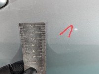 DRZWI PRZÓD PRAWE PASAŻERA Renault Megane II 5d