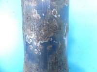 Amortyzator przód prawy przedni Iveco Daily IV 06-14