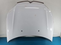 Maska przednia Citroen C5 II X7 biały EWP