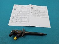 TESTOWANY Wtryskiwacz Peugeot 207 0445110239 1.6 hdi