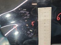 Błotnik przód lewy Ford Maverick II 01-07 czarny